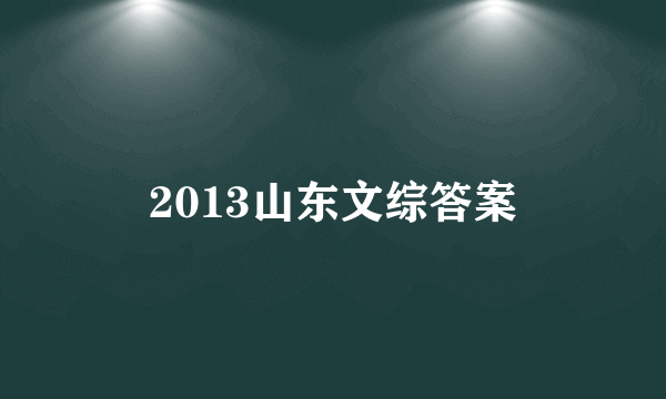 2013山东文综答案