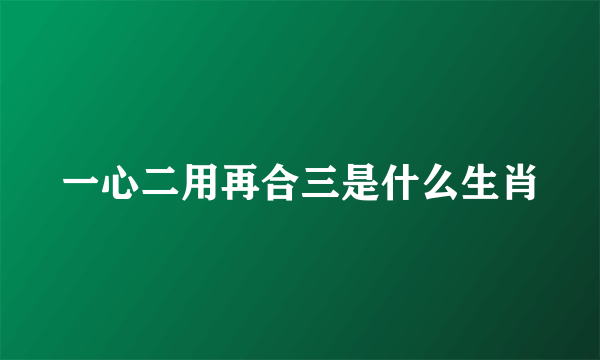 一心二用再合三是什么生肖