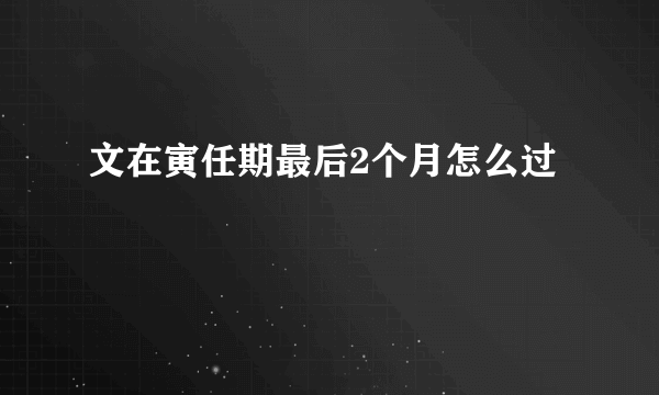 文在寅任期最后2个月怎么过