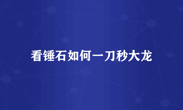 看锤石如何一刀秒大龙