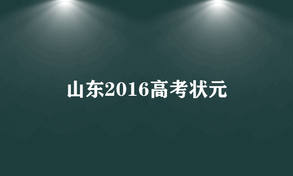 山东2016高考状元