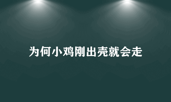 为何小鸡刚出壳就会走