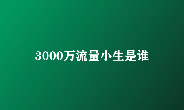 3000万流量小生是谁