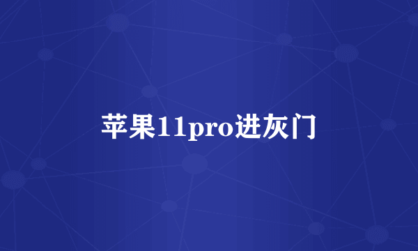 苹果11pro进灰门