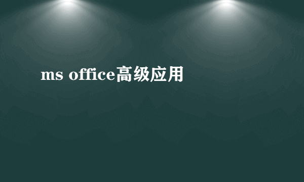 ms office高级应用