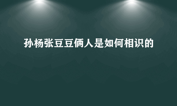 孙杨张豆豆俩人是如何相识的