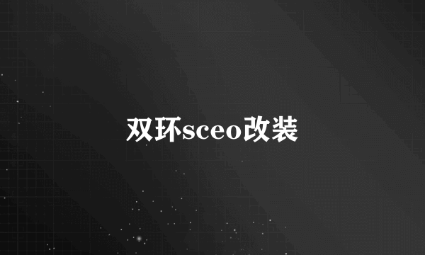 双环sceo改装