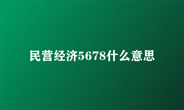 民营经济5678什么意思