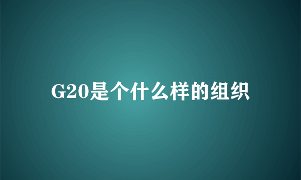 G20是个什么样的组织