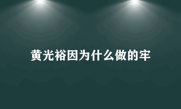 黄光裕因为什么做的牢