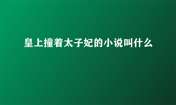 皇上撞着太子妃的小说叫什么