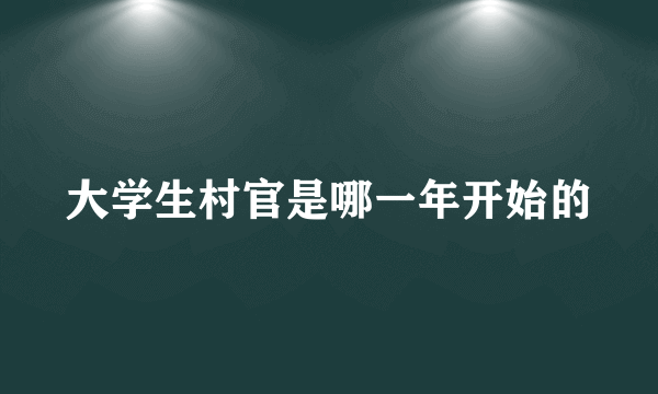 大学生村官是哪一年开始的