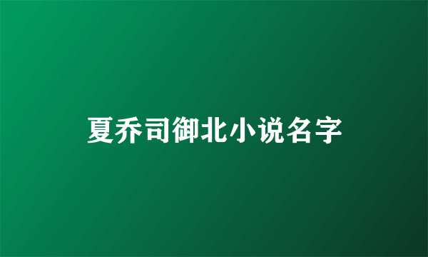 夏乔司御北小说名字