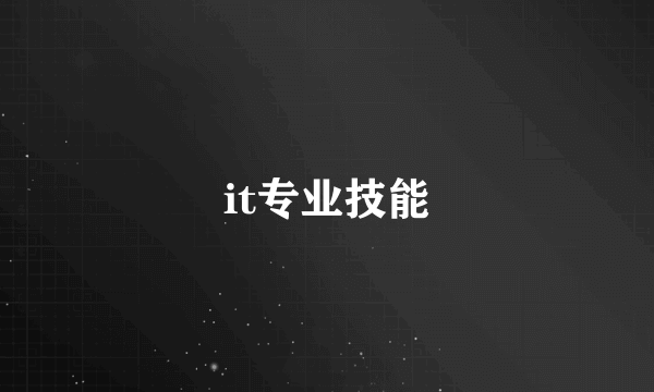 it专业技能