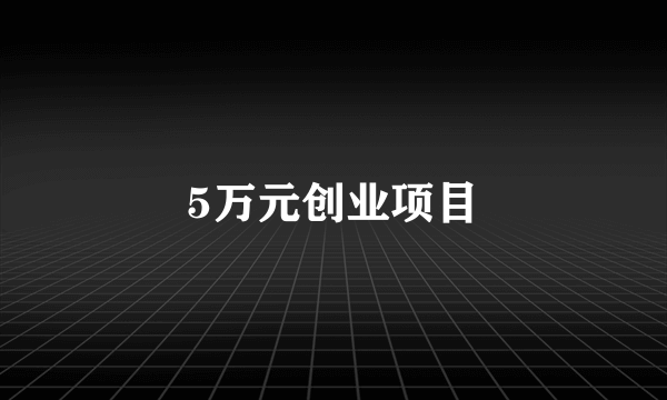 5万元创业项目