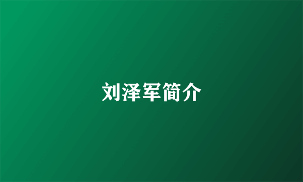 刘泽军简介