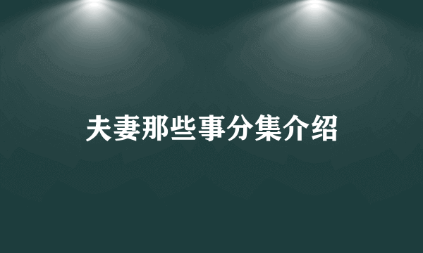 夫妻那些事分集介绍