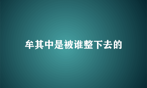 牟其中是被谁整下去的