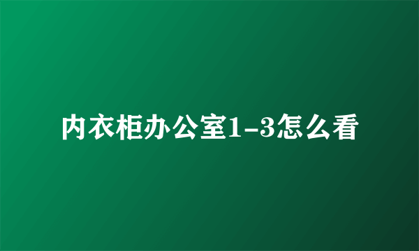 内衣柜办公室1-3怎么看