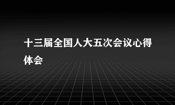 十三届全国人大五次会议心得体会