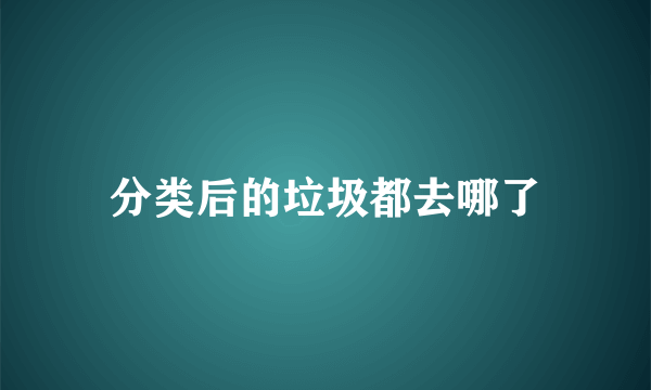 分类后的垃圾都去哪了