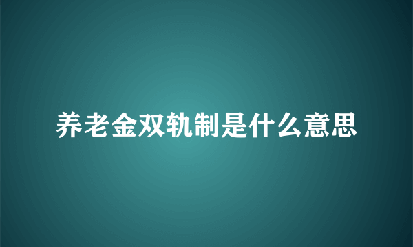 养老金双轨制是什么意思