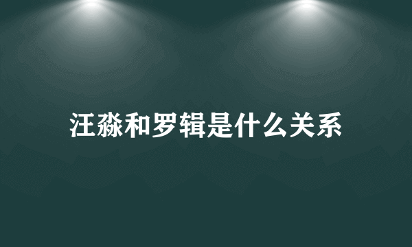 汪淼和罗辑是什么关系