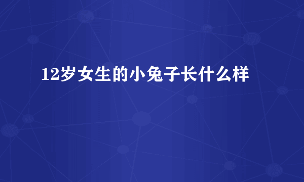 12岁女生的小兔子长什么样