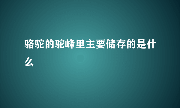 骆驼的驼峰里主要储存的是什么