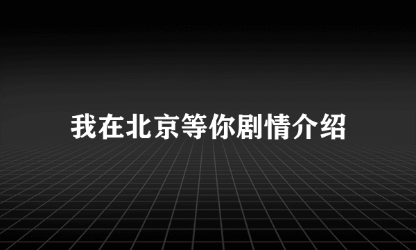 我在北京等你剧情介绍