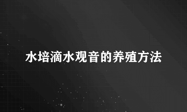 水培滴水观音的养殖方法