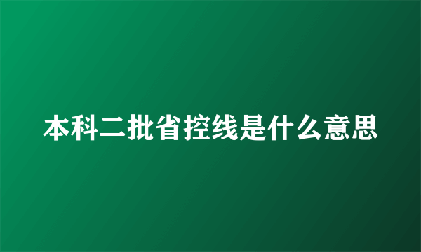 本科二批省控线是什么意思