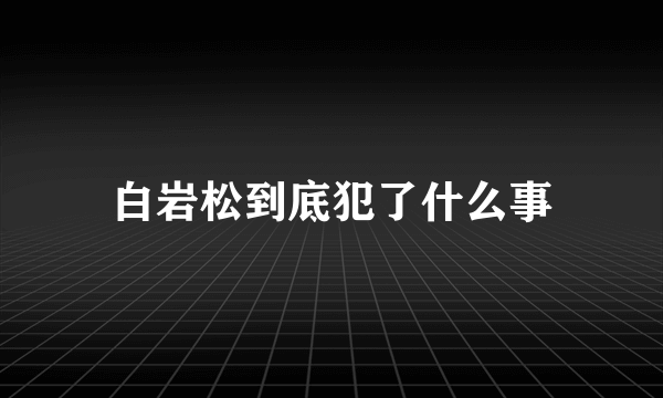 白岩松到底犯了什么事