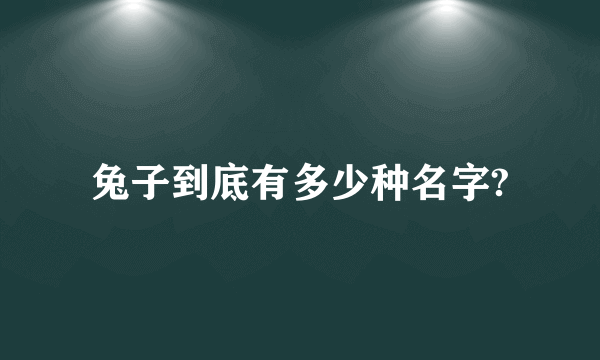 兔子到底有多少种名字?