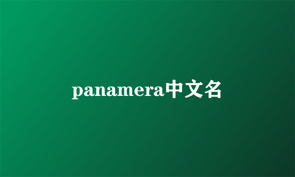 panamera中文名