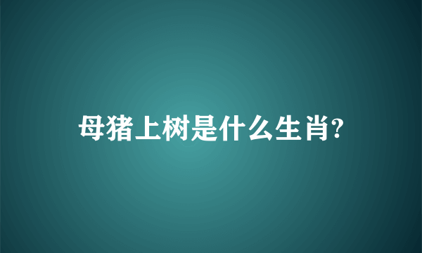 母猪上树是什么生肖?