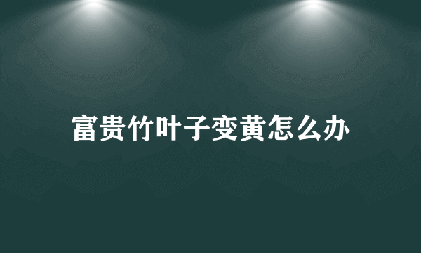 富贵竹叶子变黄怎么办