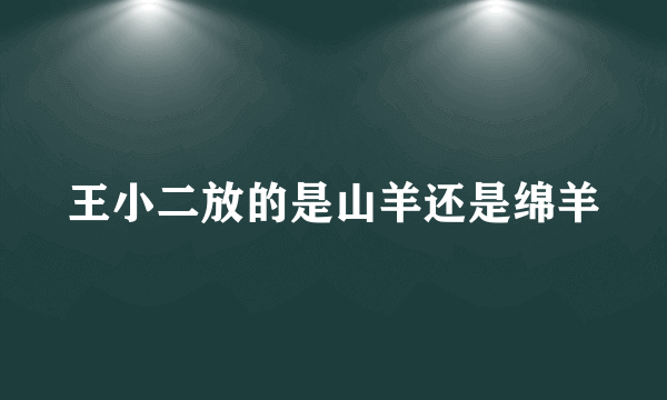 王小二放的是山羊还是绵羊