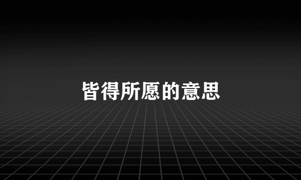 皆得所愿的意思