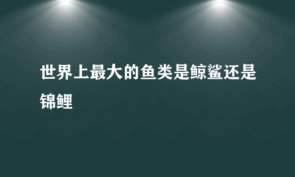 世界上最大的鱼类是鲸鲨还是锦鲤