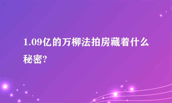 1.09亿的万柳法拍房藏着什么秘密?