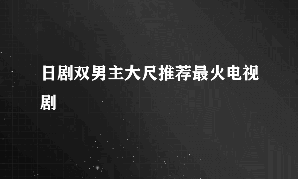 日剧双男主大尺推荐最火电视剧