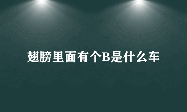 翅膀里面有个B是什么车