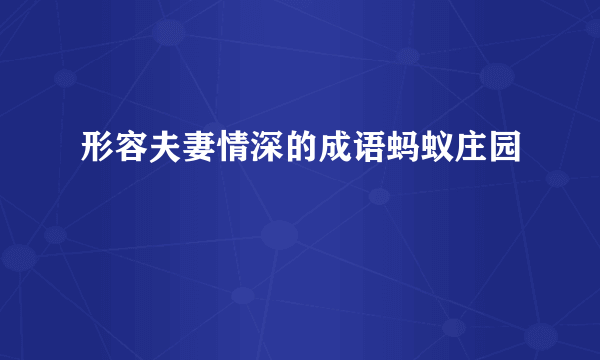 形容夫妻情深的成语蚂蚁庄园