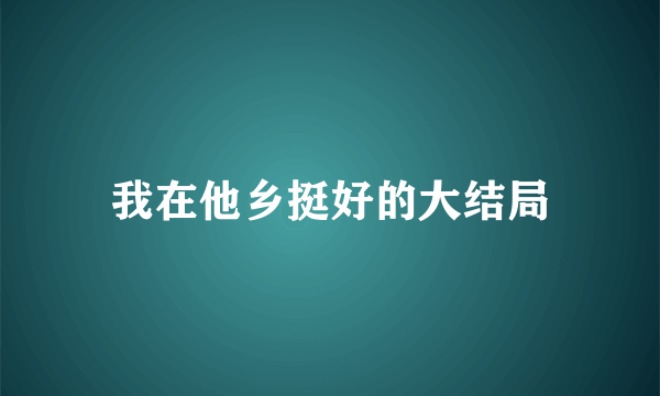 我在他乡挺好的大结局