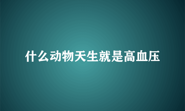 什么动物天生就是高血压