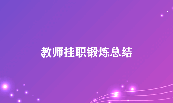 教师挂职锻炼总结