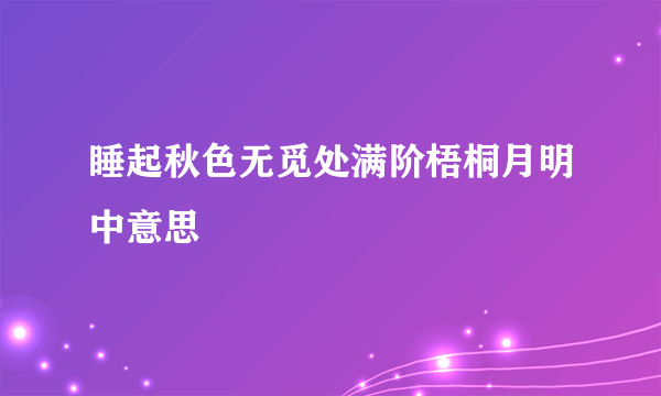 睡起秋色无觅处满阶梧桐月明中意思