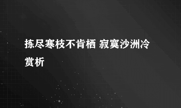 拣尽寒枝不肯栖 寂寞沙洲冷赏析