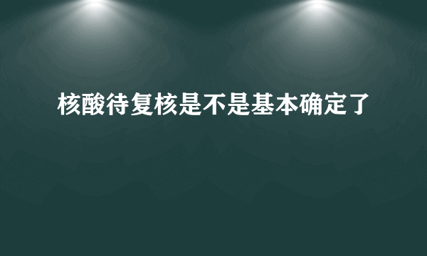 核酸待复核是不是基本确定了